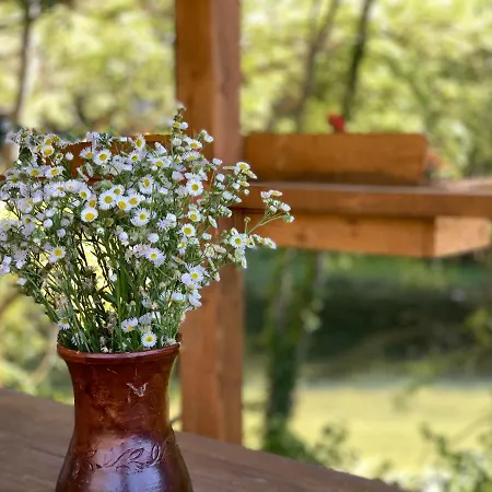 Luxury tent Cozy Treehouse With Private Blagaj