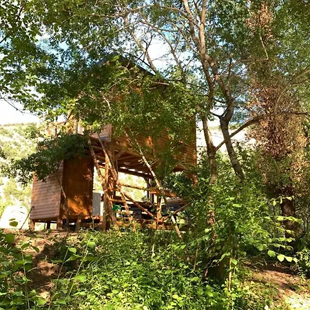 Οργανωμένο κάμπινγκ Cozy Treehouse With Private