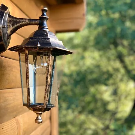 Οργανωμένο κάμπινγκ Cozy Treehouse With Private