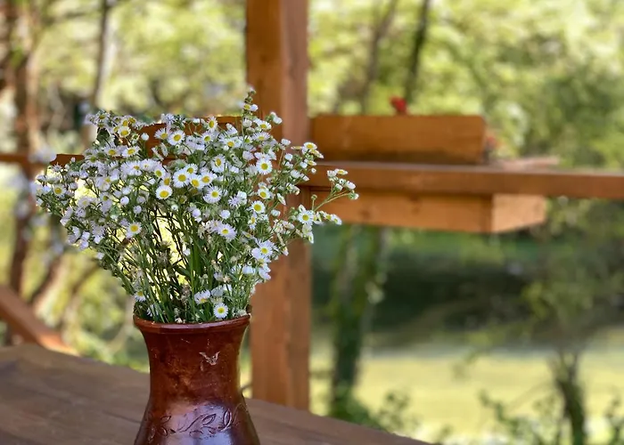 Campismo de Luxo Cozy Treehouse With Private Blagaj