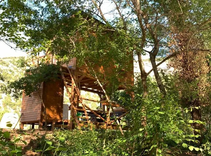 Campismo de Luxo Cozy Treehouse With Private